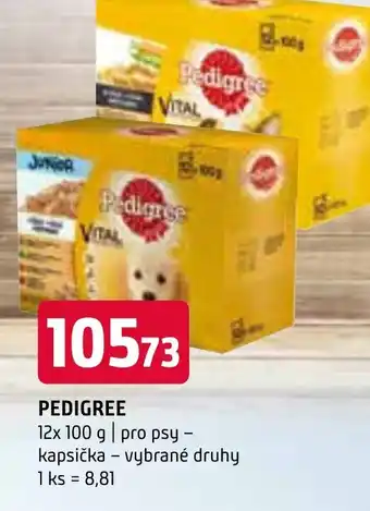 Terno PEDIGREE nabídka