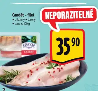 Albert Candát - filet nabídka