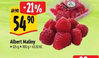 Albert Albert Maliny nabídka