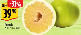 Albert Pomelo nabídka