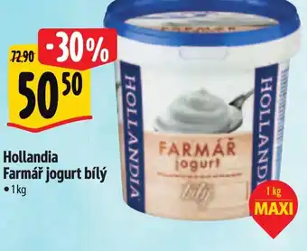 Albert Hollandia Farmář jogurt bílý nabídka