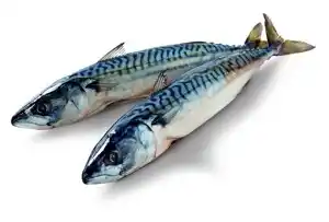 Albert Makrela kuchaná 800g nabídka