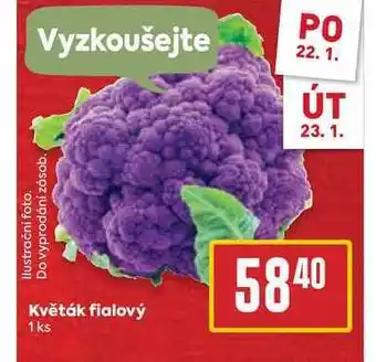 Billa Květák fialový 1 ks nabídka
