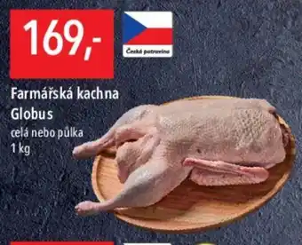 Globus Farmářská kachna Globus nabídka