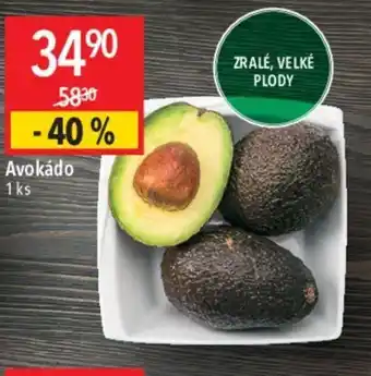 Globus Avokádo nabídka