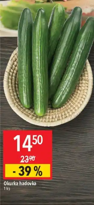 Globus Okurka hadovka nabídka