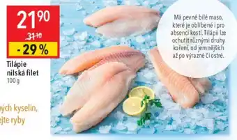 Globus Tilápie nilská filet 100 g nabídka