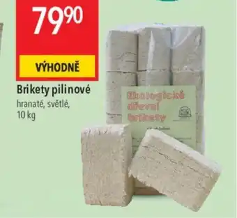 Globus Brikety pilinové nabídka