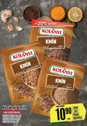 Tamda Foods Kotányi kmín nabídka
