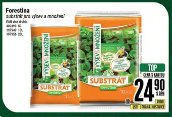 Tamda Foods Forestina substrát pro výsev a množení nabídka