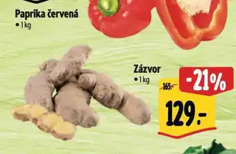 Albert Zázvor nabídka