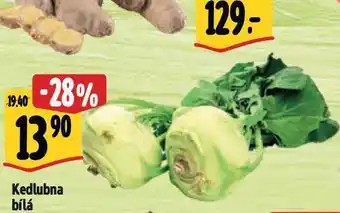 Albert Kedlubna nabídka