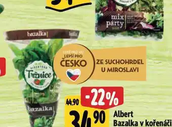 Albert Bazalka v kořenáči nabídka