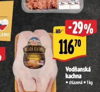 Albert Vodňanská kachna nabídka