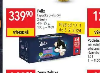 Globus Felix kapsičky pro kočky nabídka