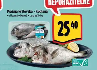 Albert Pražma královská nabídka