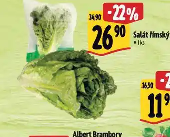 Albert Salát římský nabídka