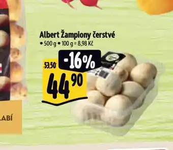 Albert Žampiony nabídka
