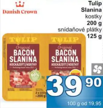 Jip Tulip Slanina nabídka