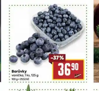 Billa Borůvky nabídka