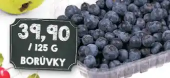 Jip BORŮVKY nabídka