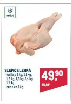 Makro Slepice lehká nabídka