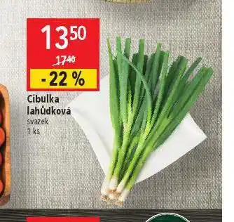 Globus Cibulka lahůdková nabídka