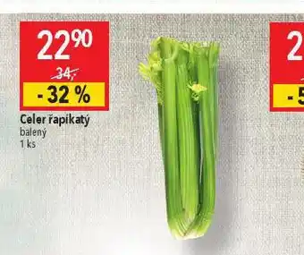 Globus Celer řapíkatý nabídka