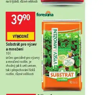 Globus Substrát pro výsev a množení nabídka