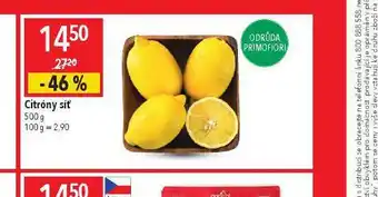 Globus Citrony síť nabídka