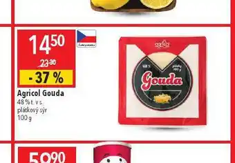 Globus Agricol gouda 48% nabídka