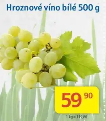 Kubík potraviny Hroznové víno bílé 500 g nabídka