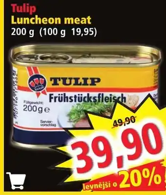 Norma Tulip Luncheon meat nabídka