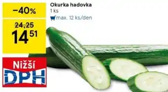 Tesco Okurka hadovka nabídka