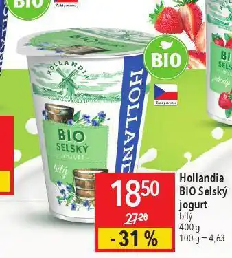 Globus Hollandia bio selský jogurt nabídka