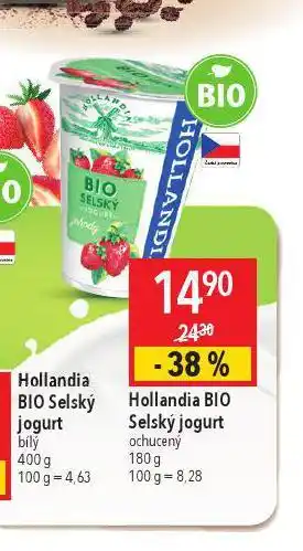 Globus Hollandia bio selský jogurt ochucený nabídka