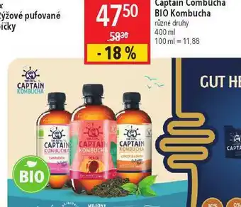Globus Captain combucha bio kombucha nabídka