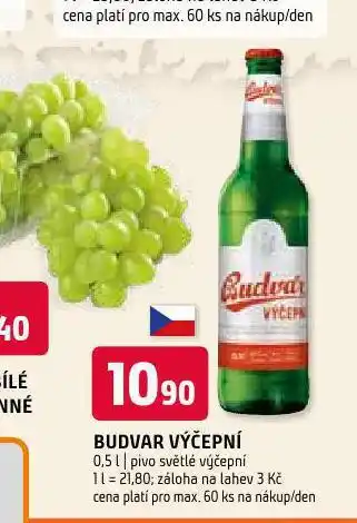 Terno Pivo budvar nabídka