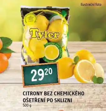 Terno Citrony nabídka