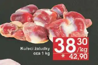 Jip Kuřeci žaludky cca 1 kg nabídka