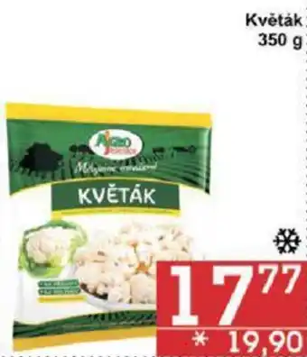 Jip Květák 350 g nabídka