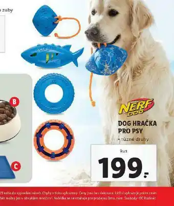 Lidl Dog hračka pro psy nabídka