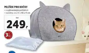 Lidl Pelíšek pro kočky nabídka