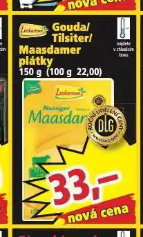 Norma Gouda nabídka