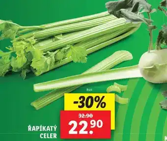 Lidl Řapíkatý celer nabídka