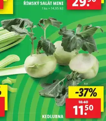 Lidl Kedlubna nabídka