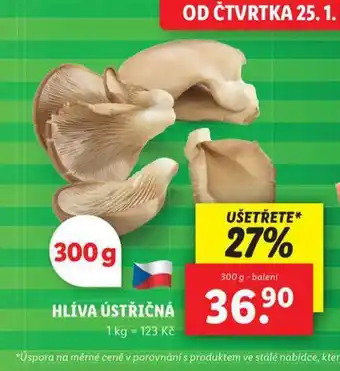 Lidl Hlíva ústříčná nabídka
