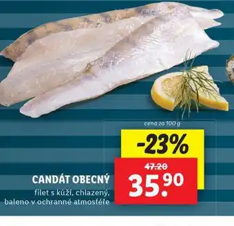 Lidl Candát obecný nabídka