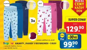 Lidl Kalhoty jogger nabídka