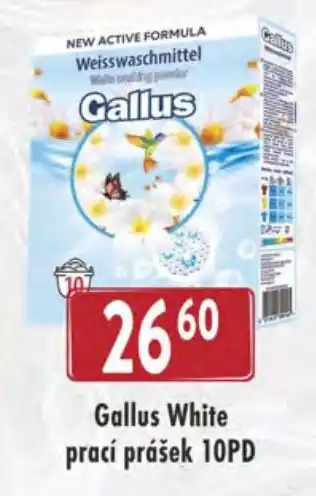 Qanto Gallus White prací prášek 10PD nabídka